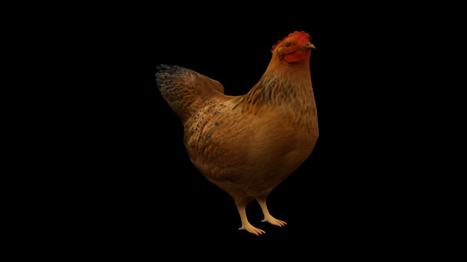 Hen preview image 1